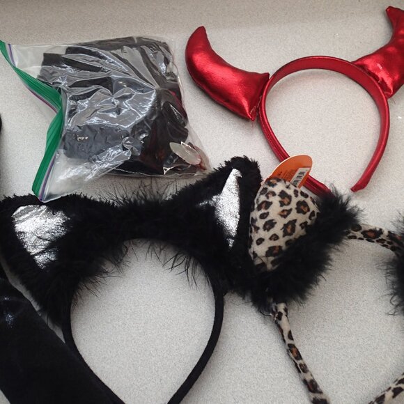 Lot of Halloween Accessories - Picture 1 of 7